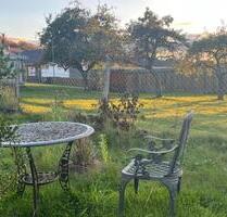 Ferienhaus am Bostalsee - freistehend, ruhig, Garten, Hunde - Nonnweiler