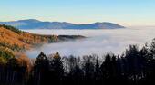 Foto - andere in Schaufling