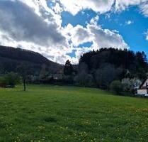 Teilsanierte Doppelhaushälfte in Unterlenningen