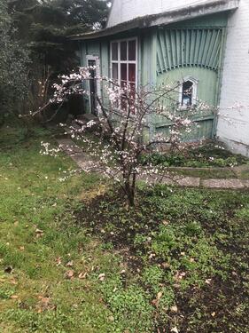 Foto - Große 2 Zimmer Wohnung in Flintbek