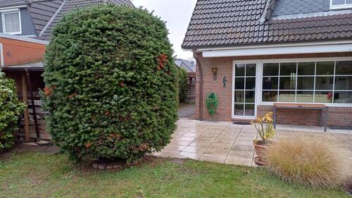 Foto - 4 Zimmer Einfamilienhaus zum Kaufen in Stelle