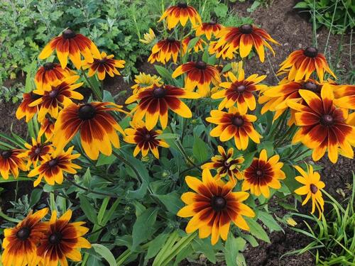 Foto - Im Frühjahr im eigenen Garten? - 5.000,00&nbsp;EUR Kaltmiete, ca.&nbsp; 0,00&nbsp;m&sup2;