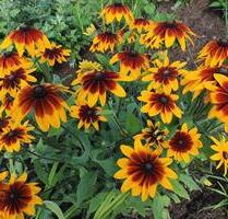 Im Frühjahr im eigenen Garten? - 5.500,00&nbsp;EUR Kaufpreis, ca.&nbsp; 0,00&nbsp;m&sup2; in Waren (Müritz) (PLZ: 17192)