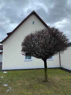 Foto - 4 Zimmer Erdgeschoßwohnung zur Miete in Dingolfing
