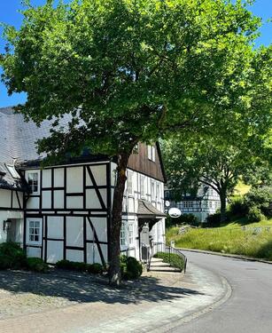 Foto - andere in Olsberg