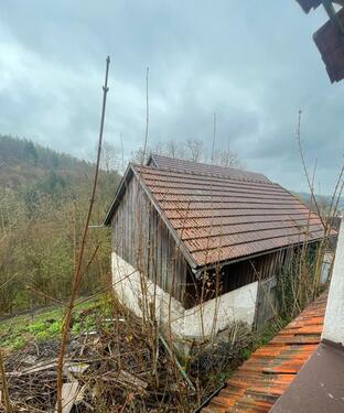 Foto - Einfamilienhaus zum Kaufen in Guttenberg