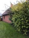 Foto - Einfamilienhaus zum Kaufen in Lütjenburg