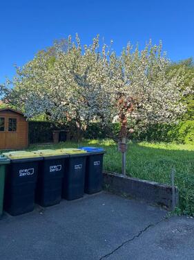 Foto - 2 Zimmer Etagenwohnung zur Miete in Gerlingen