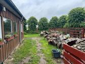 Foto - Einfamilienhaus in Rabenkirchen-Faulück zum Kaufen