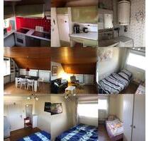 3 Zimmer Wohnung Moos Iznang zu vermieten