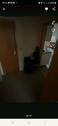 Foto - Etagenwohnung in Bad Gandersheim zur Miete