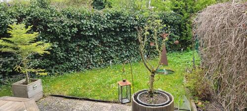 Foto - 4 Zimmer Reihenhaus in Holzgerlingen