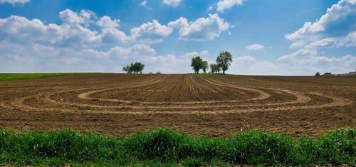 Foto - Ackerland in Leidersbach zu verkaufen
