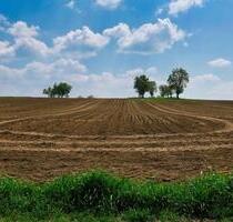 Ackerland in Leidersbach zu verkaufen