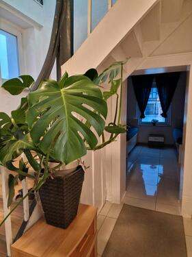 Foto - andere in Baddeckenstedt zur Miete