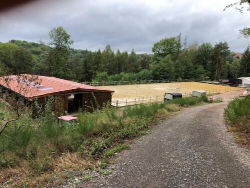 Foto - Außenbox bzw. Bewegungsbox frei' in Pirmasens