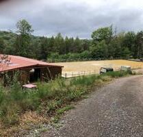 Außenbox bzw. Bewegungsbox frei