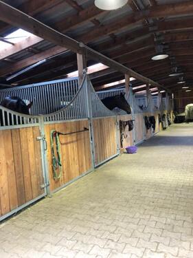 Foto - andere in Pirmasens zur Miete