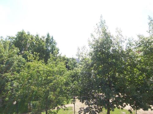 Foto - 2 Zimmer Etagenwohnung in Offenbach am Main