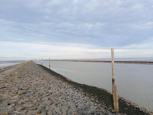 Foto - Urlaub Ferienwohnung Nordseeküste Ostfriesland Hage bei Norddeich