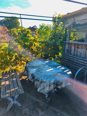 Foto - Grundst&uuml;ck zur Miete in Pfreimd