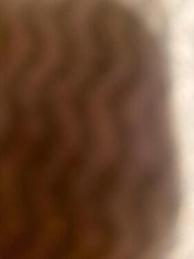 Foto - Wohnung zur vermieten - 340,00&nbsp;EUR Kaltmiete, ca.&nbsp; 35,00&nbsp;m&sup2;