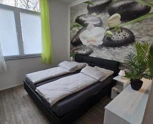 Geräumiges 1-Zimmer-Apartment, voll ausgestattet für Single oder Pärchen, Raunheim