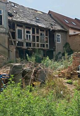 Foto - Einfamilienhaus in Apolda zum Kaufen