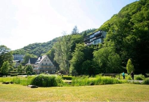 Foto - 2 Zimmer Etagenwohnung zur Miete in Bausendorf