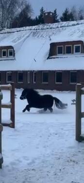 Foto - Wohnung teilmöbliert - 850,00&nbsp;EUR Kaltmiete, ca.&nbsp; 65,00&nbsp;m&sup2;