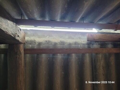 Foto - 