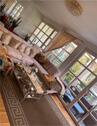 Foto - Mietwohnung Berlin zentral - 3.200,00&nbsp;EUR Kaltmiete, ca.&nbsp; 140,00&nbsp;m&sup2;