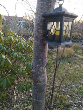 Foto - Grundst&uuml;ck in Papendorf zur Miete