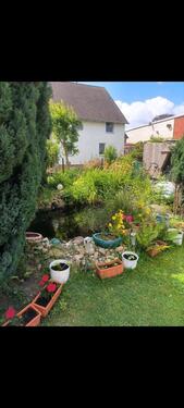 Foto - Doppelhaushälfte in Söhlde zum Kaufen