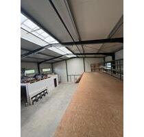 Lager, Lagerfläche zu vermieten, Europaletten einlagern - Bensheim