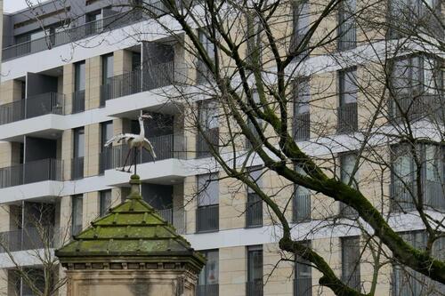 Foto - Etagenwohnung in Dresden