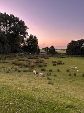 Foto - Etagenwohnung zur Miete in Borsfleth