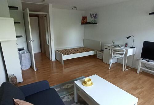 Foto - 1 Zimmer Etagenwohnung zur Miete in Neustadt an der Weinstraße