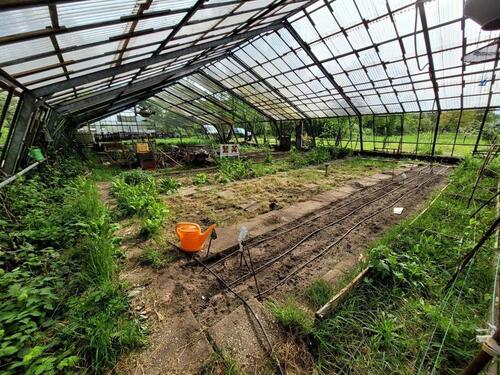 Foto - GrünflächeOrangerie - 250,00 EUR Kaltmiete, ca.  0,00 m²