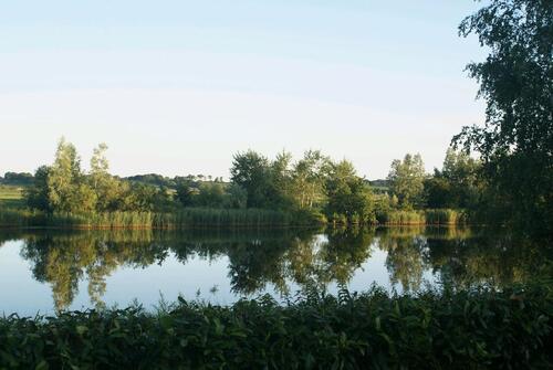Foto - andere in Fockbek