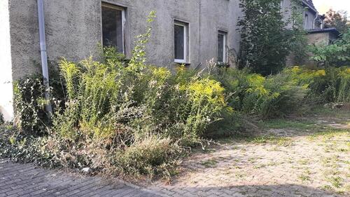 Foto - Mehrfamilienhaus, Wohnhaus in Bad Lauchstädt