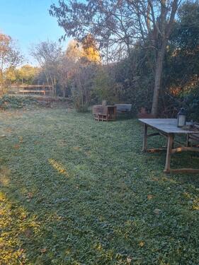 Foto - 2 Zimmer Etagenwohnung zur Miete in Frankenthal (Pfalz)