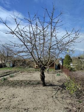 Foto - Grundst&uuml;ck in Neubrandenburg