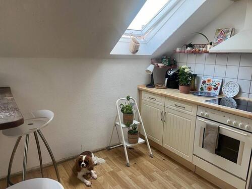 Foto - Schöne 2-Zimmer-Maisonette auf dem Kaßberg – ab 1. Dezember frei