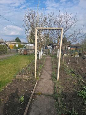 Foto - Grundst&uuml;ck zur Miete in Sömmerda
