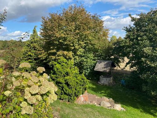 Foto - Einfamilienhaus zum Kaufen in Börßum