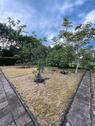 Foto - Schrebergarten - 3.999,00 EUR Kaltmiete, ca.  0,00 m²