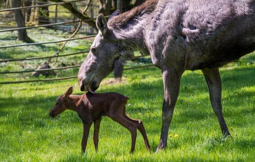 Foto - andere in Steinhagen