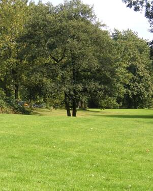 Foto - 3 Zimmer Einfamilienhaus in Essen