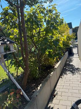 Foto - 4 Zimmer Einfamilienhaus zum Kaufen in Datteln